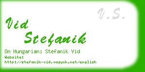 vid stefanik business card